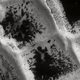 Image for article titled 8 Incredible Images That Make Mars Look Like A Petri Dish